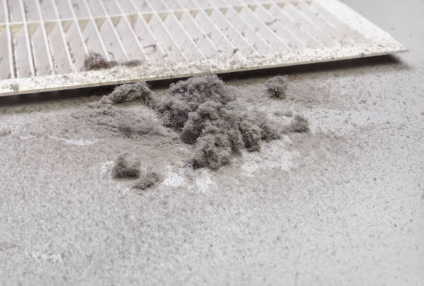 Reliable Newport, NC Airduct Cleaning Solutions