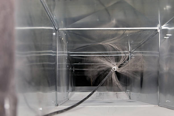 Best Air Duct Mold Removal  in Newport, NC