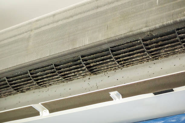 Best Ductwork Cleaning Services  in Newport, NC
